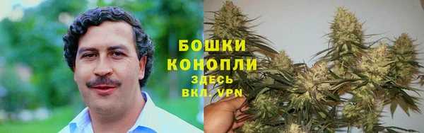 бошки Аркадак