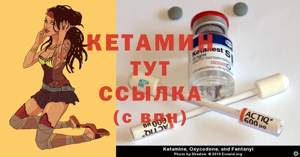 стаф Арсеньев