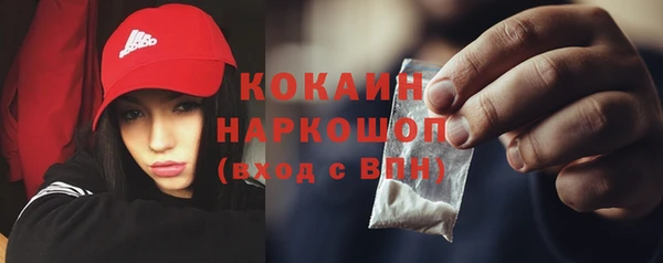 стаф Арсеньев