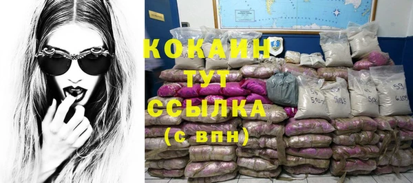 стаф Арсеньев