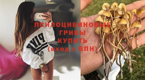 стаф Арсеньев