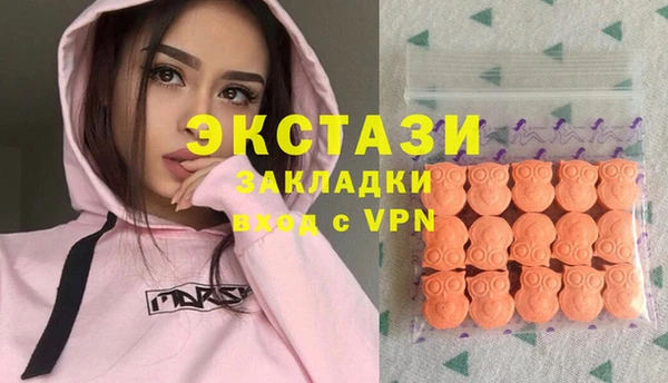 стаф Арсеньев