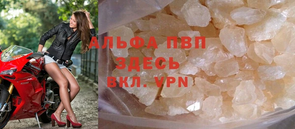 стаф Арсеньев