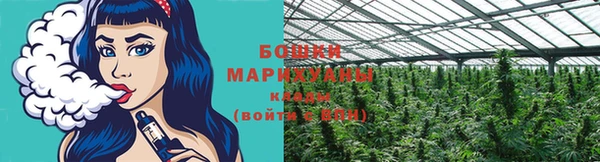 бошки Аркадак