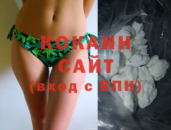 стаф Арсеньев