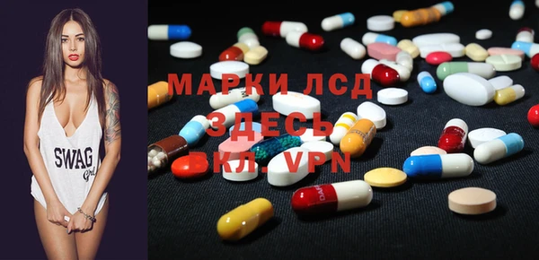 стаф Арсеньев